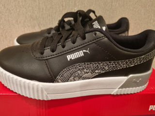 Puma