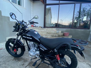 Wolf Motors Wolf motor 150cc foto 3