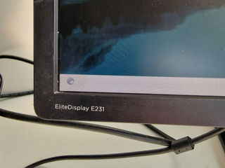 HP EliteDisplay E231  LED display  фото 1