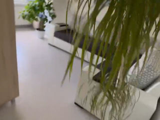 1-rm apt., 58 м², 4/12 fl.