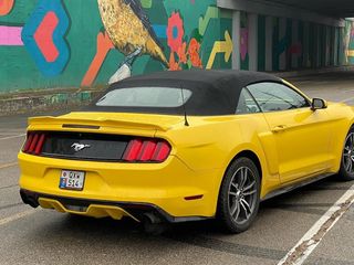 Ford Mustang foto 1