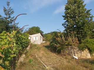 Se vinde casă cu terenuri 4 hectare la marginea pădurii. Logănesti. foto 1