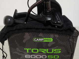 Carp pro turos 6000