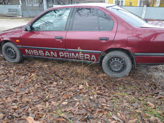 Nissan Primera foto 2