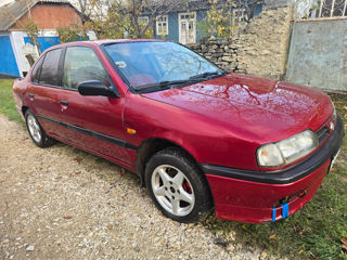 Nissan Primera foto 6