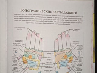 Книги по реабилитации и массажу