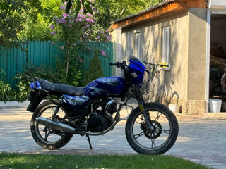 Viper Zs 125 foto 2