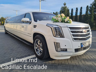 Limuzine în Chișinău,arenda limuzinelor Hummer H2 Cadillac Escalade Infiniti foto 10