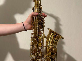 Vând Saxofon Alto Clifton foto 1