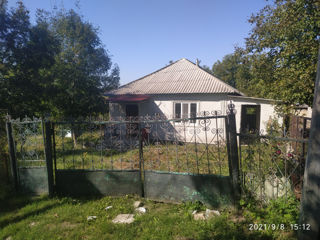 Casa de locuit in s. bîrnova și în s. mereșeuca r. ocnița + teren agricol - licitatie foto 1