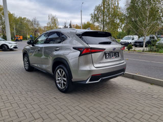 Lexus NX Series foto 7