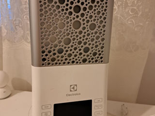 Umidificator Electrolux