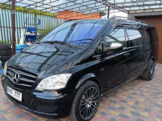 Mercedes Viano