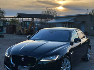 Jaguar XF foto 2