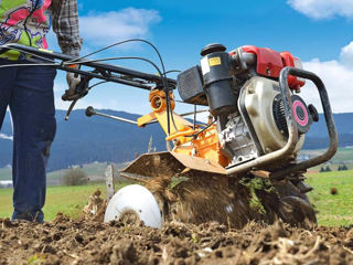 Efectăm lucrări agricole, curățirea terenului,  sapat cu motoblocul