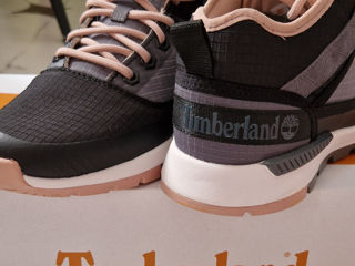 Timberland foto 3