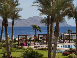 Sharm! Sunrise Arabian Beach Resort 5*! Din 26.04! foto 4