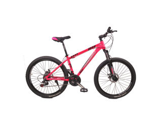 Crossbike Everest 26' foto 1