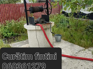 Curatim fintini foto 5