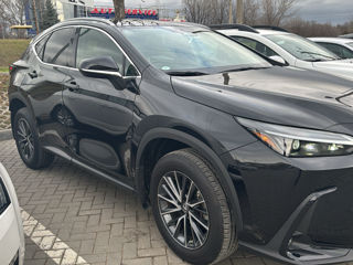 Lexus NX Series