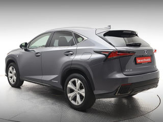 Lexus NX Series foto 5