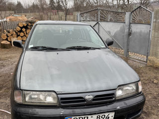 Nissan Primera foto 3