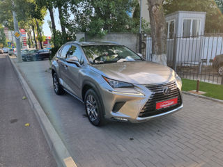 Lexus NX Series foto 3