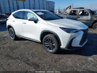 Lexus NX Series