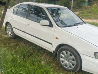 Nissan Primera foto 2