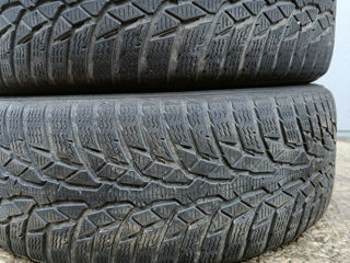 215/60/R17 Nokian foto 3