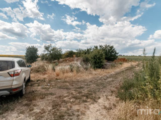 Se oferă spre vânzare teren destinație agricolă amplasat în s. Sângera foto 6