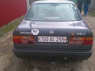 Nissan Primera foto 2