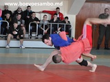 Боевое самбо и MMA (смешанные единоборства) foto 4