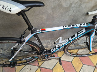 Focus Izalco Carbon foto 4