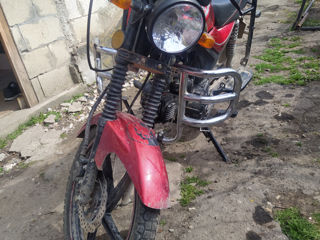 Alpha Moto Zs50f