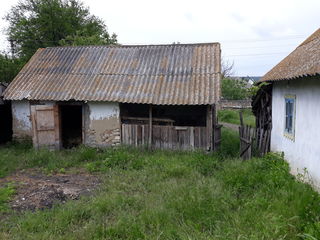 Casă buna de locuit cu pămînt  . Un preț foarte bun. foto 7