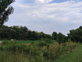 Teren agricol cu potențial pentru o afacere foto 4