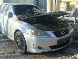 Lexus IS Series