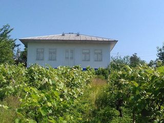 Vind casa in s.Fintinita, raionul Drochia foto 5
