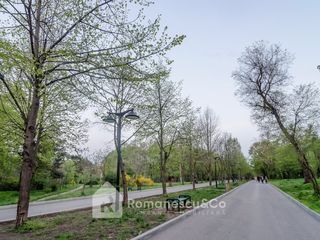 o odaie cu living parcul valea trandafirilor foto 20