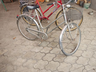 Bicicleta rosie foto 3