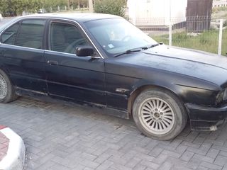 BMW 5 Series foto 7