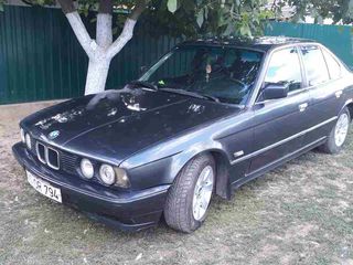 BMW 5 Series foto 7