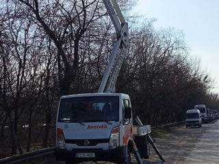 Arendă mașini Autourn! foto 15