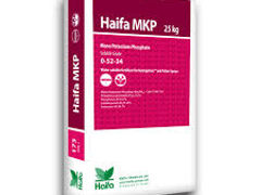 Haifa MKP / Monoamonium Fosfat / Haifa Chemicals Ltd.