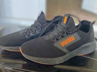 puma originale foto 3