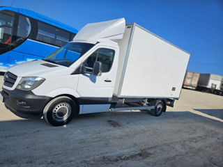 Mercedes Sprinter 316 Termo foto 5