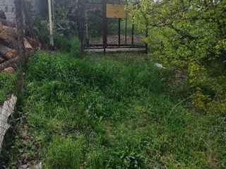Nimoreni, Ialoveni, дешевле не будет, 10 km de Chișinău foto 3