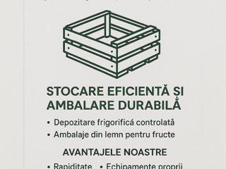 Depozitari frigorifice! foto 1