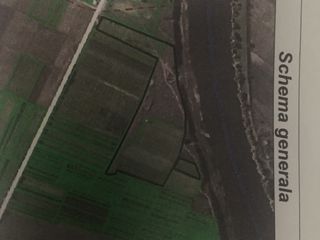 Urgent- 7 ha teren agricol iregabil+livada de prune+agregate. foto 4